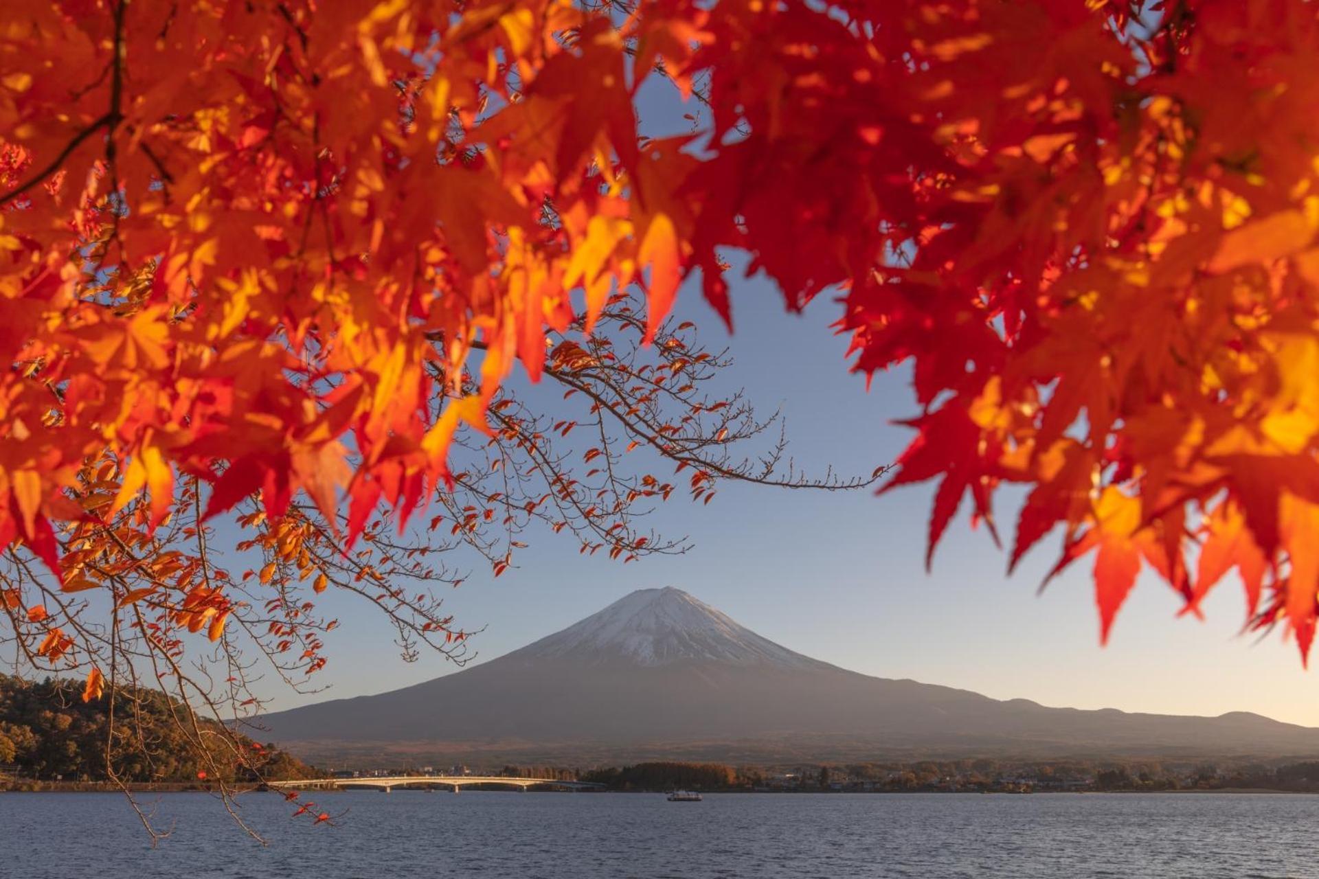 Fuji Fumoto Forest Hotspring ふもとの森温泉 富士河口湖 外观 照片